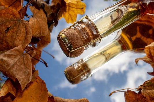 L’automne, une saison à déguster… autrement