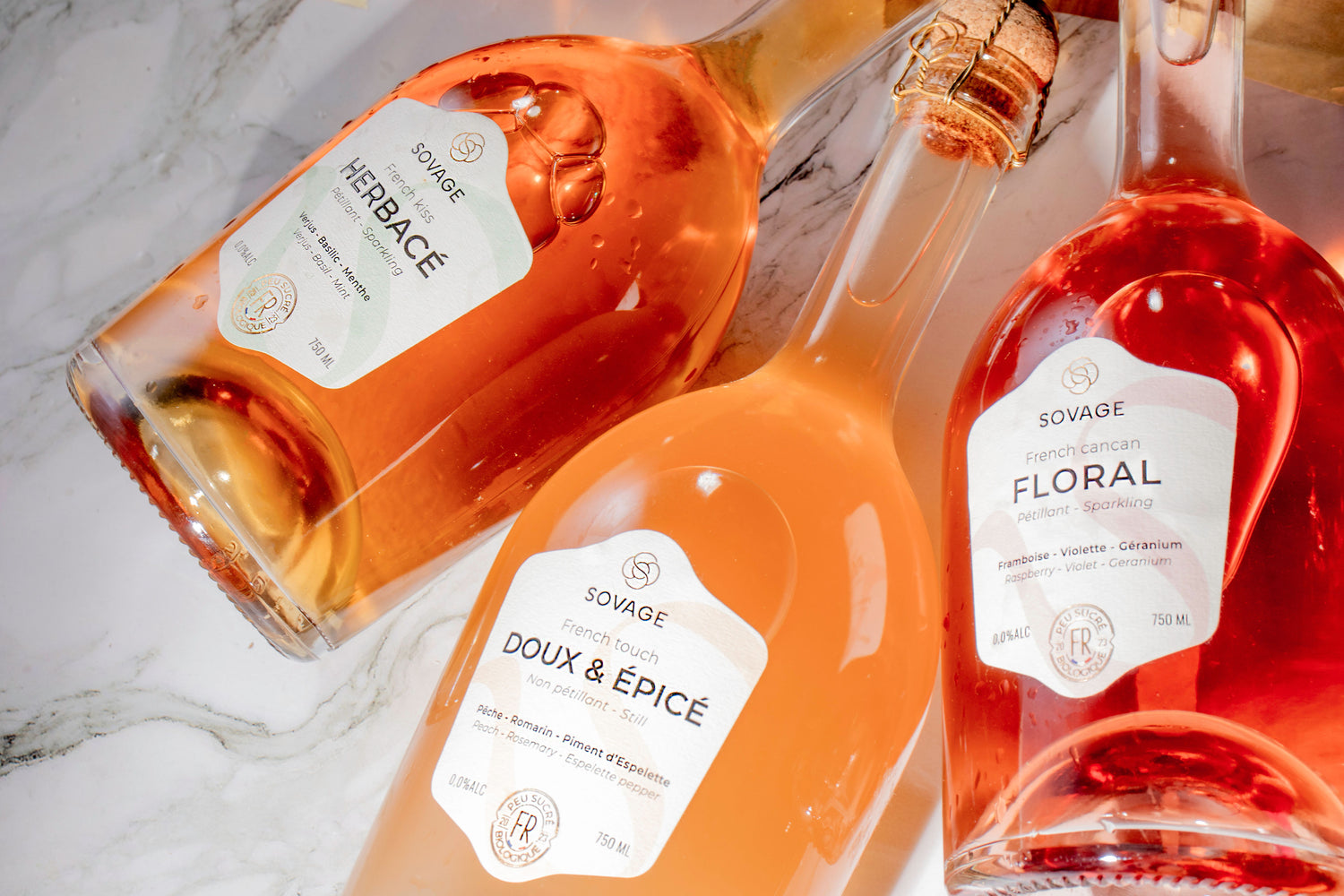 Discovery Pack x6 Large bottles